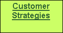 Text Box: Customer Strategies
